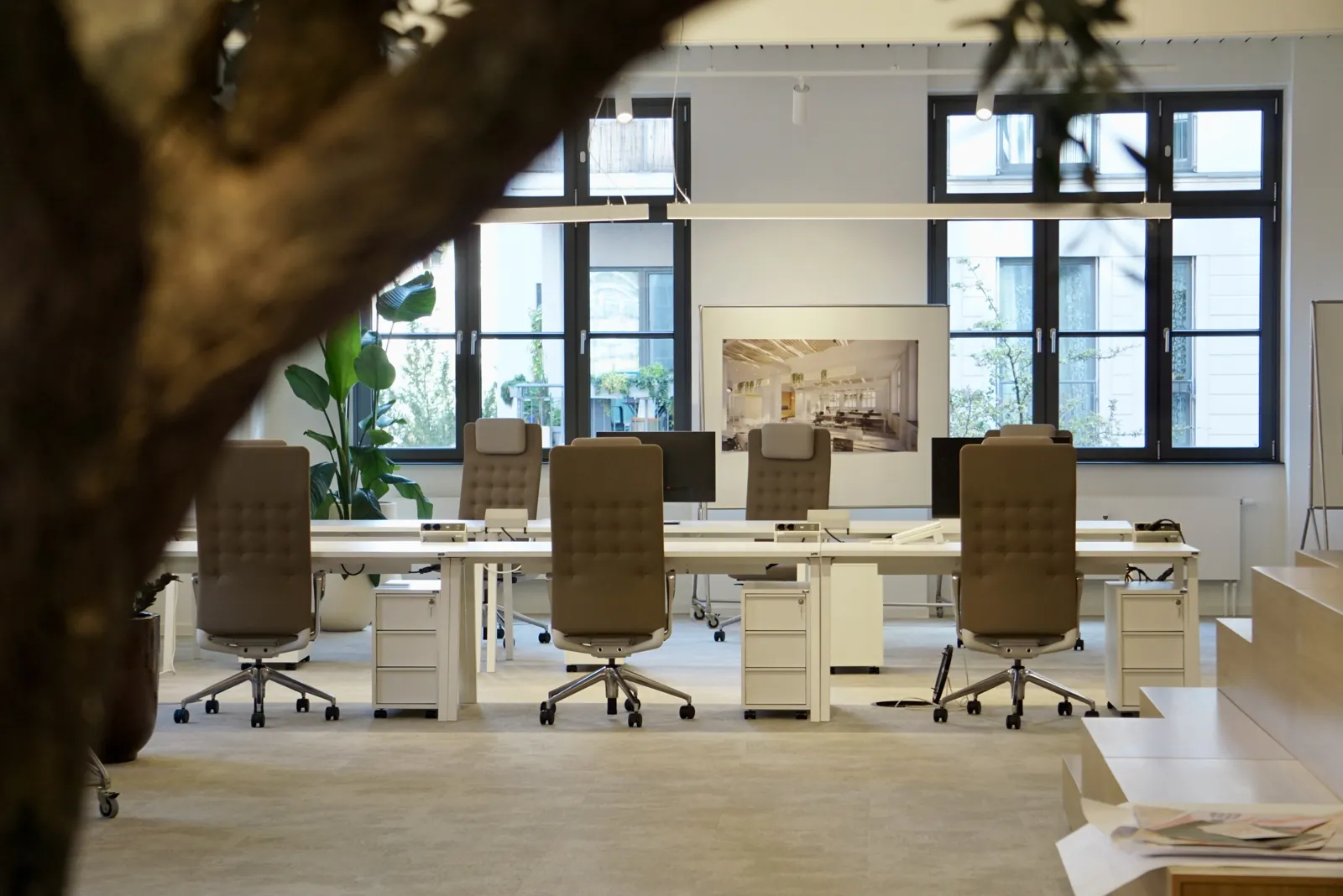 Arbeitsplätze mit Bürostühlen, Pflanzen und großen Fenstern